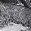 Bales of bracken thatch stored in North attic of Building F