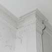 First floor, drawing room, pilaster capital and cornice, detail
