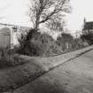 Detail of wall with plant border in front