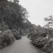 View in gardens along drive to house