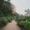 View in gardens along drive to house