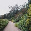 View in gardens along drive to house