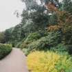 View in gardens along drive to house