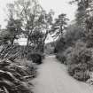 View in gardens along drive to house