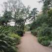 View in gardens along drive to house