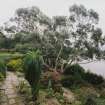 View in gardens the rock garden