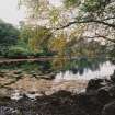 View in gardens large pond