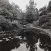 View in gardens large pond