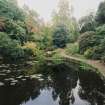 View in gardens large pond