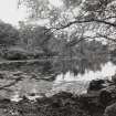 View in gardens large pond