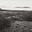 General view of croft lands running at right angles to sea from North East