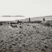 General view of croft lands running at right angles to sea from North East