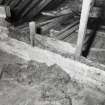 Roof space, floor, timber partition filled with moss, detail