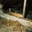 Roof space, floor, timber partition filled with moss, detail