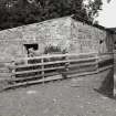 View of sheep shelter from SE