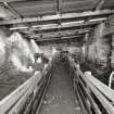 View of interior of sheep shelter from S