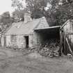 View of henhouse from NW