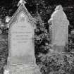 Detail of specimen gravestones