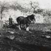 In the grounds of Addistoun House, 'lifting potatoes', horse drawn potato lifter.
Copied from Album no.145