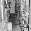 Craigmillar Brewery, interior
View along batch fermentation vessels