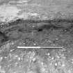 S ditch; M Tolan`s section showing in situ charcoal and burning along inner ditch edge, from S.