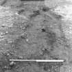 S ditch; M Tolan`s section showing in situ charcoal and burning along inner ditch edge, from E.