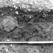 S ditch; M Tolan`s section showing postpipes, close-up, from NW.