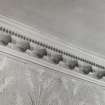 Edinburgh, Charles Street, interior.
Detail of specimen rose-and-bracket cornice.