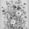 Photographic copy of watercolour from The Flowers of the Year (June) by Mrs Cameron Kay.