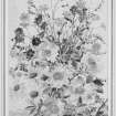 Photographic copy of watercolour from The Flowers of the Year (July) by Mrs Cameron Kay.