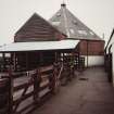 View of auction mart and cattle pens from NE.