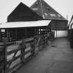 View of auction mart and cattle pens from NE.