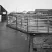 View of cattle pens from S.