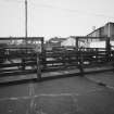 View of cattle pens from W.