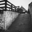 View of cattle pens from E.