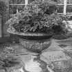 Conservatory, ornamental urn, detail
