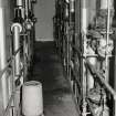 Craigmillar Brewery, interior
View along batch fermentation vessels