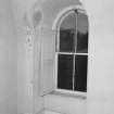 Second floor, specimen window