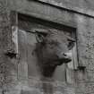 Athelstaneford Mains.
Detail of bovine sculpture above main entrance in N side of steading.