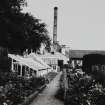 General view of chimney and glass houses.