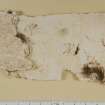 Detail of eighteenth century wallpaper fragment (reverse).