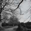 View of trees and driveway in the grounds of St Germains House.