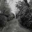View of entrance drive from N.