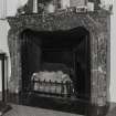 Interior.
Detail of figured marble fireplace in billiard room.