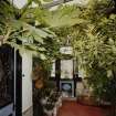 Bute, Rothesay, Rockhill Castle, High Craigmore.
Interior. Ground Floor. Conservatory. View from South.