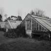 View of glass houses showing brick basecourse and timber super structure