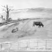 Photographic copy of watercolour showing cows in field.