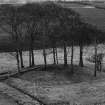 View from North showing earthwork.