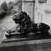 Detail of cast iron lion.