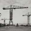 General view of cranes from S.